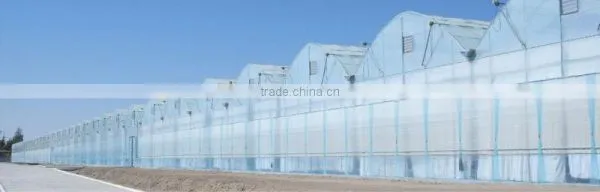 Commercial Greenhouses photo-4