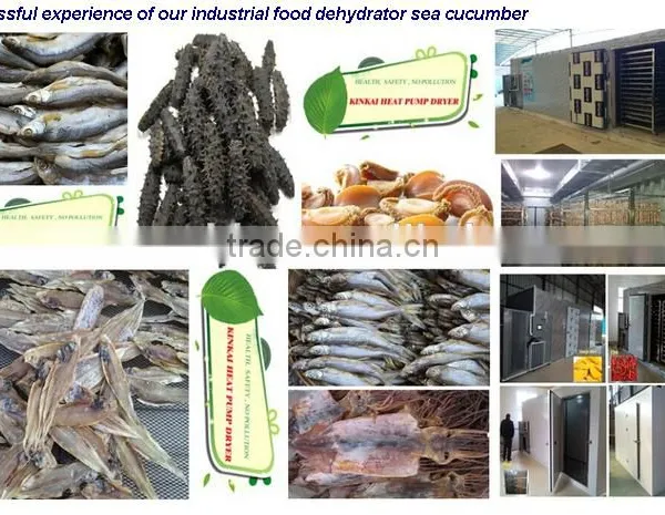 Catfish Drying Machine Fish Dryer photo-4