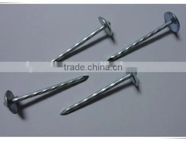 1"*11G Galvanized Umbrella Head Plain and Ring Shank Roofing Nail (factory) photo-4