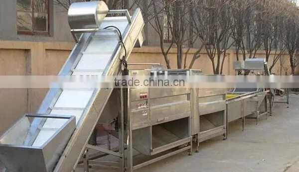 Potato Washing Peeling Prodcution Line Processing Line photo-2