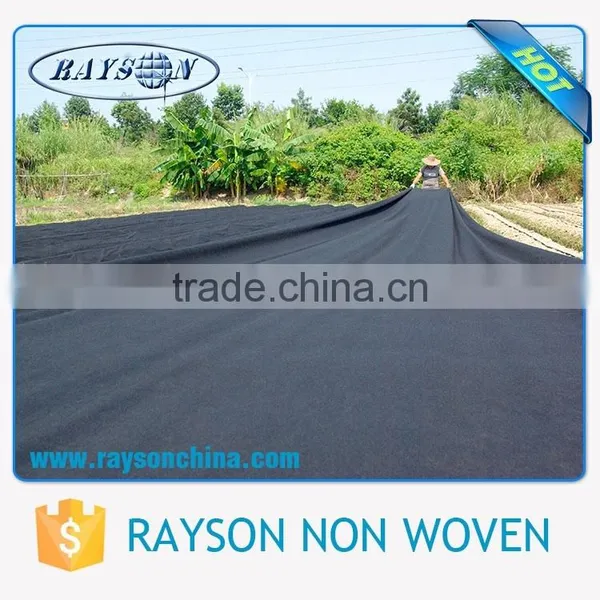 Biodegradable UV Resistant PP Non Woven Frost Cover Mulch Film Price photo-3