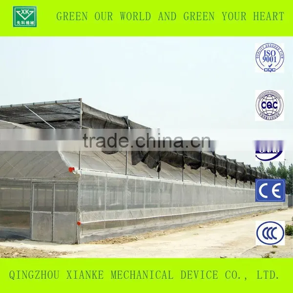 Double-layer Film Greenhouse for Seeding photo-5
