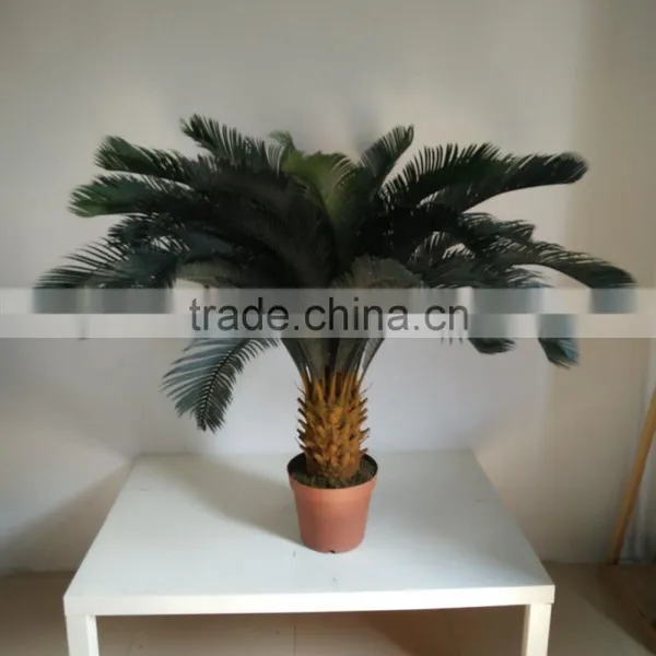 Decorative Sago Cycas Cycas Revoluta Artificial High Simulation Cycads Plant photo-3