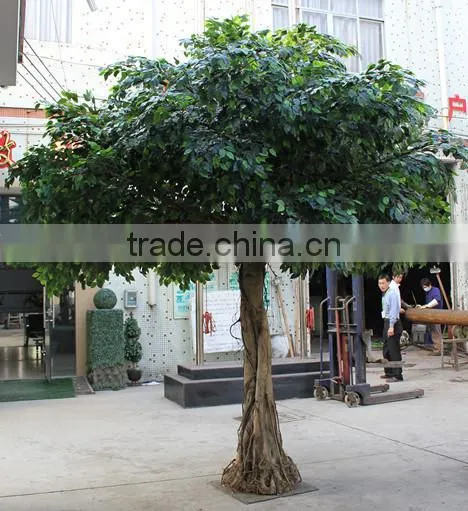 Cheap Hot Sale Foliage Banyan Leaves Artificial Ficus Leaves. Green White Gold Leaves photo-5