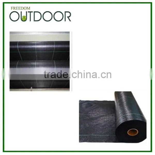 Anti UV PP Woven Fabric Roll for Agriculture photo-3