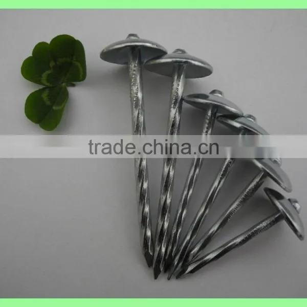Kenya Umbrella Roofing Nails photo-5