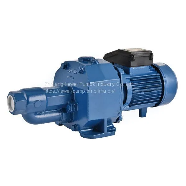 AUDP Series 550A Self Priming Water Pump photo-2