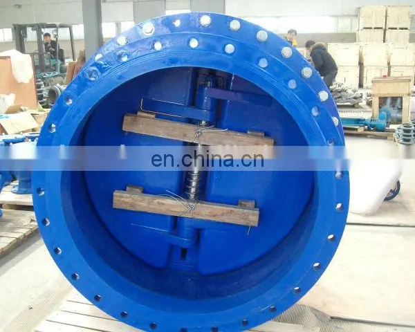 6 Inch Cast Iron Dual Plate Check Valve Water Check Valve photo-2