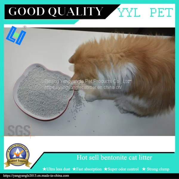 Best Quality Bentonite Cat Litter From China photo-2