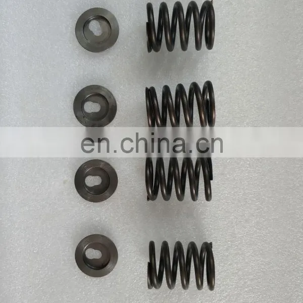 No.548(5) 320D Pump Spring and Seat photo-4