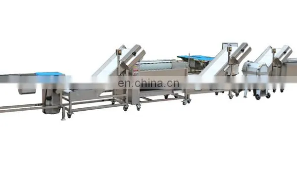 Rood Leaf Vegetables and Fruits Carrot Radish Apple Washing Cutting Packing Processing Machines Plant photo-4