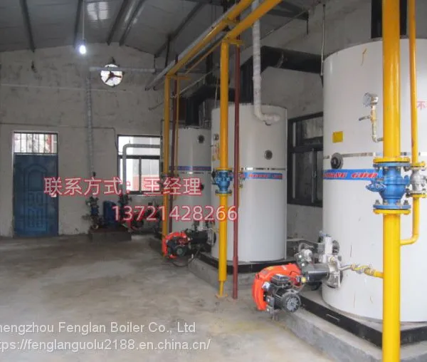 Supply of Gas Hot Water Boiler for Heating Small Rooms in Russia photo-5