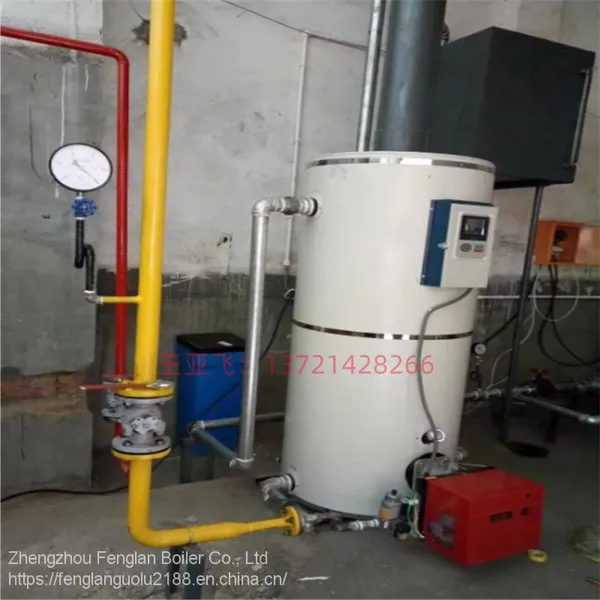 Supply of Gas Hot Water Boiler for Heating Small Rooms in Russia photo-2