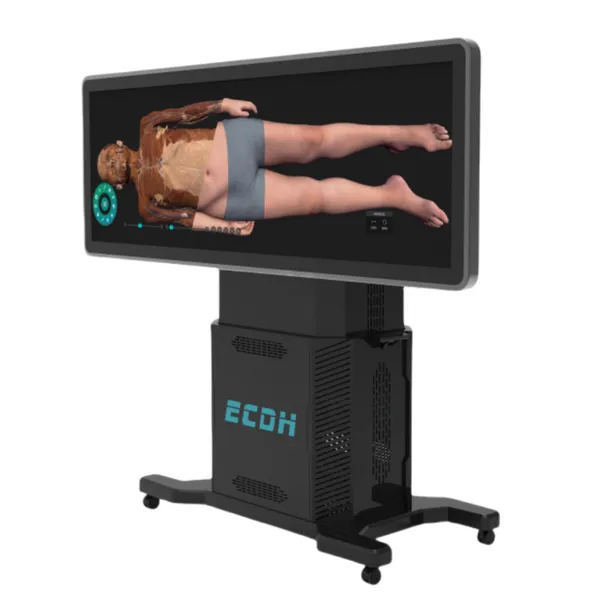 88-inch Smart Medical Station Digital Human Virtual Dissection Table System Human Education Model Capacitive Touch Screen photo-2