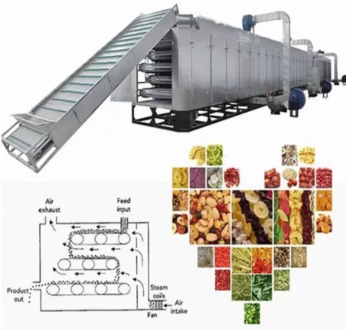 Genyond Machine Dried Lemon Mango Orange Continuous Belt Conveyor Tunnel Drying Machine on Sale photo-5