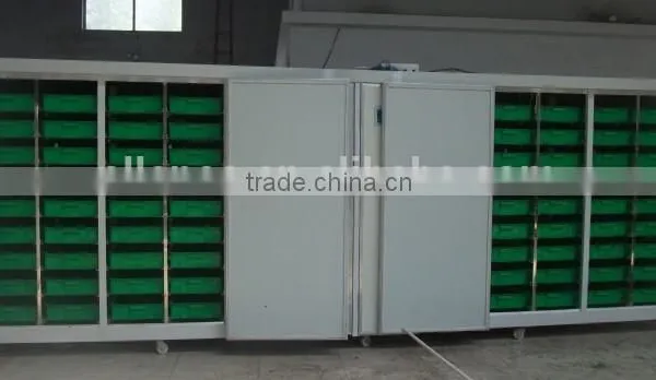 High Efficient Hydroponic Barley Growing Equipment / Popular Fodder Sprouting Equipment photo-5