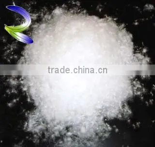 5 Star Hotel Used Washed White Goose Feather for Wholesale photo-2