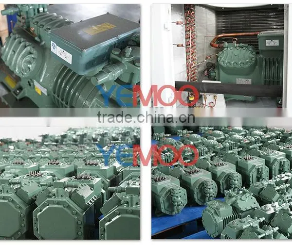 Yemoo R134a Refrigeration Cold Storage Bitzer Compressor 110v for Fruit Storage photo-4