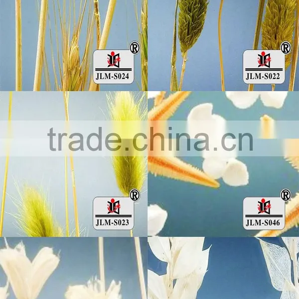 Modern Design for Special Plastic Sheets Wholesale photo-4