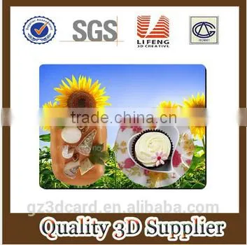 2015 Factory Supply Creative Lenticular PP/PET 3D Table Mat With Four Color Printing photo-4