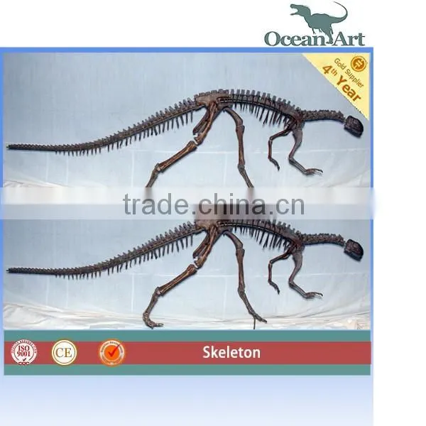 Natural Education Specimen Dinosaur Fossil
