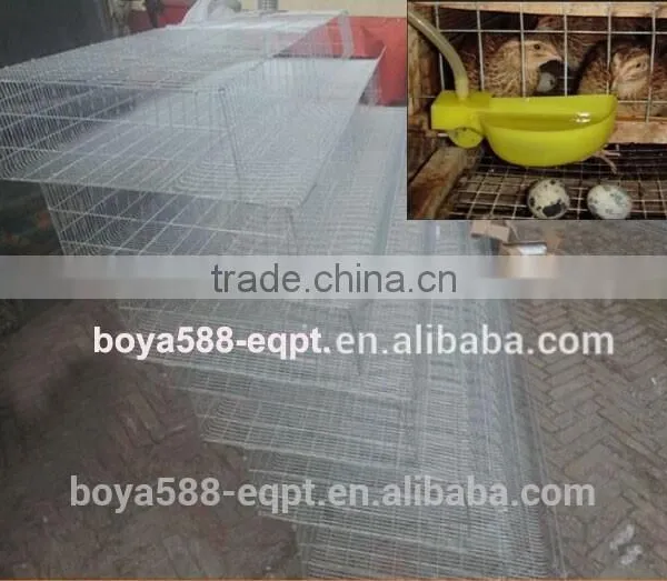 Watering System Quail Layer Cages for Poultry Farming photo-2