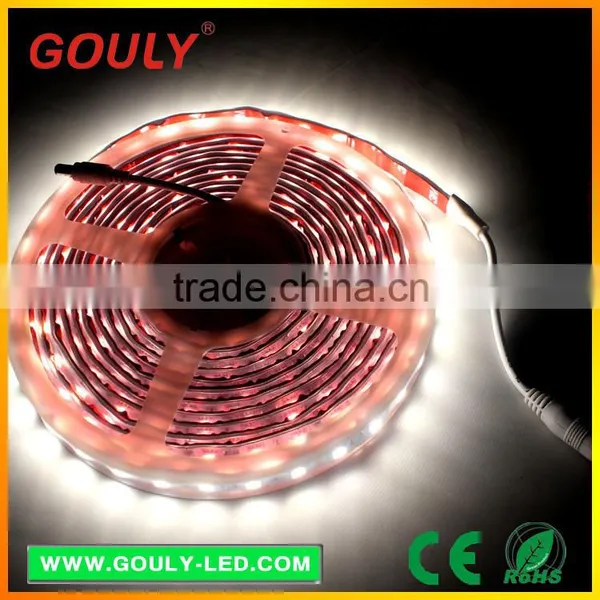 LED Neon Rope Lights LED String Lights photo-2
