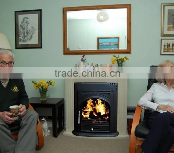 Wood Burning Stove Inserts photo-2