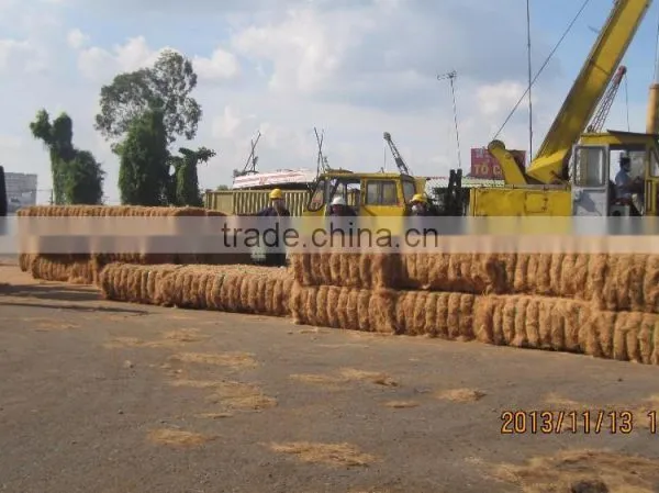 Coconut Fiber _ QQ : 2598494113 FOB : 200$ - 230$ photo-4