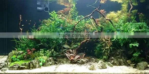 Wifi Controller Freshwater Led Aquarium Light Led Aquarium Light Red and Green Cool White 240cm Planted photo-6