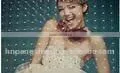 Photo Cold Lamination Film