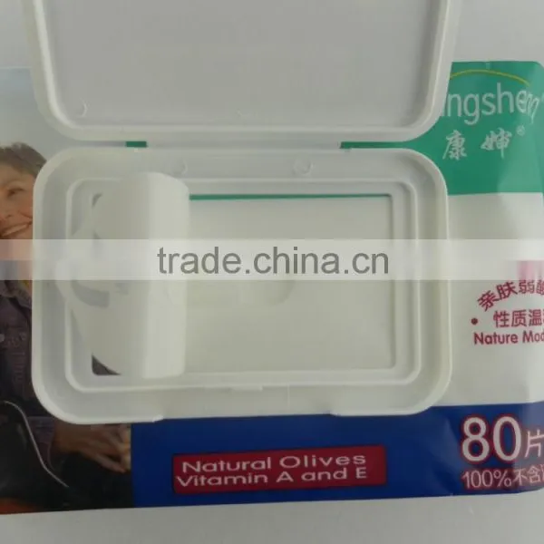 Adult Wet Wipes Wholesale and Manufacturing photo-2