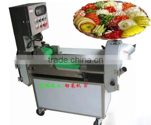 VEGETABLE CUTTER