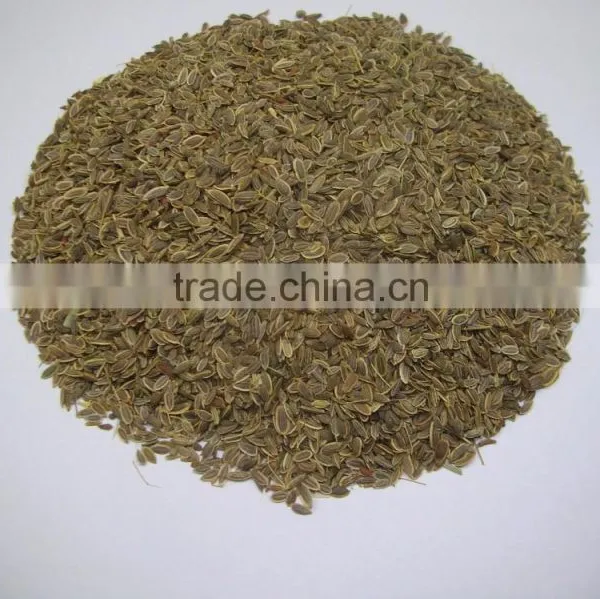 Spice-Dill Seeds / Anthem Graveolens / Suwa photo-3