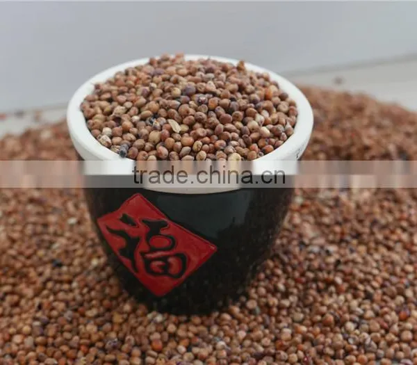 Red Sorghum With High Quality And Cooperate Price From China photo-2