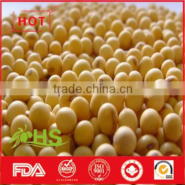 Hot Sale Dried Soybeans in Bulk With High Quality photo-5