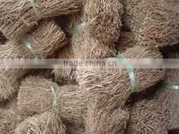 Khus (Ruh) Indian Vetivert