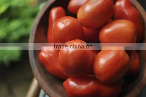 Vietnam Pickled Big Tomatoes in Glass Jar 720ml by HAGIMEX