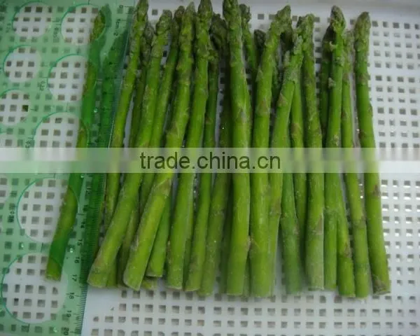 Top Quality Frozen Green Asparagus for 1 kg Packed per Carton photo-4