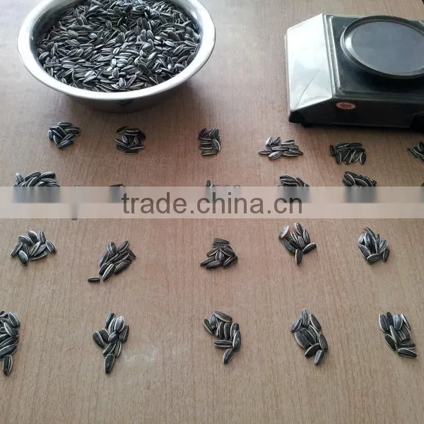 2015 CROP Inner Mongolia Sunflower Seeds 5009 photo-4