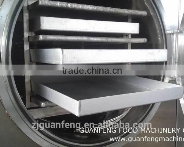 Food Freeze Dryer Machine for Drying Mango photo-4