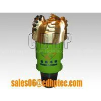 China API 5 - 7/8\'\' M423 Used Pdc Drill Bit Sale, Oil Pdc Drill Bit, Second Hand Drill Bit