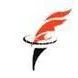 Tangshan Tengfei Hardware Tools Manufacture Co.,Ltd.