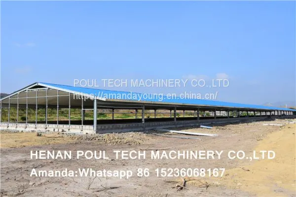 Sudan Poultry Farm for 10,000 Broilers & Chicken Plastic Saltted Floor System & Broiler Floor System With Nipple Drinker System & Feeding Pan System photo-3