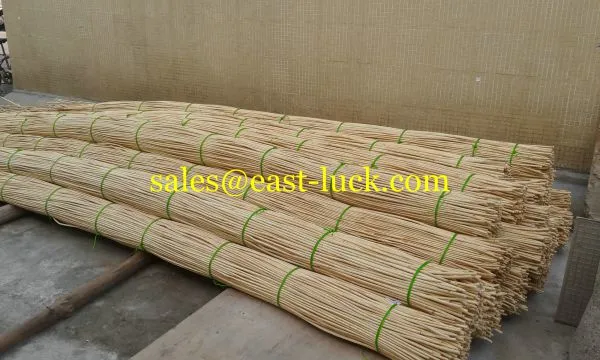 Rattan Cane