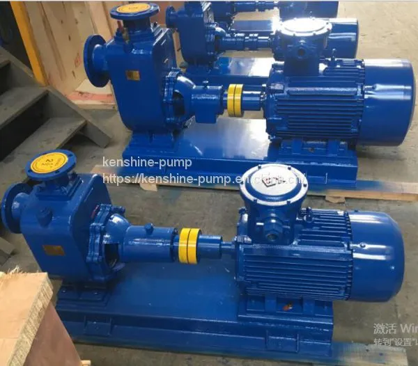ZX Self Priming Centrifugal Water Pump