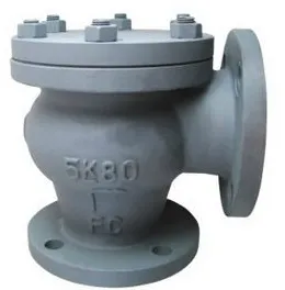 JIS Marine Valve Cast Iron Lift Check Angle Valve F7359 5K