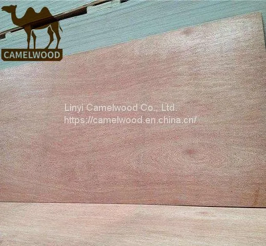 China Factory Supply High Quality Commercial Plywood for Decoration photo-2