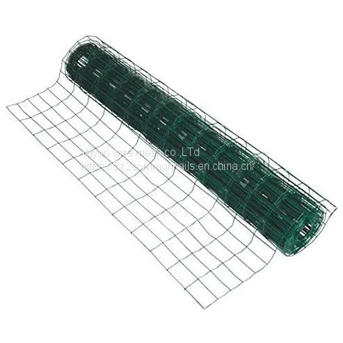 Green Color 1/2 Pvc Coated Welded Wire Mesh photo-2