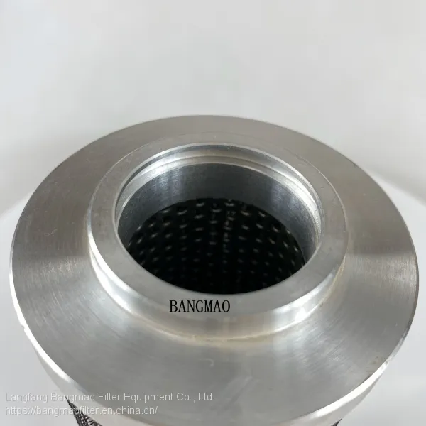 BANGMAO Replacement Pall Hydraulic Filter HC2217FDN6H Hydraulic Oil Filter Element photo-2